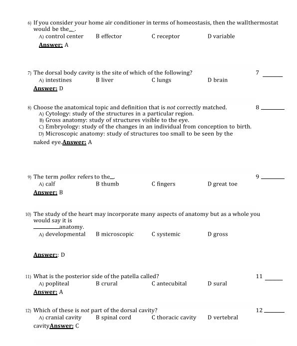 Document Page 4
